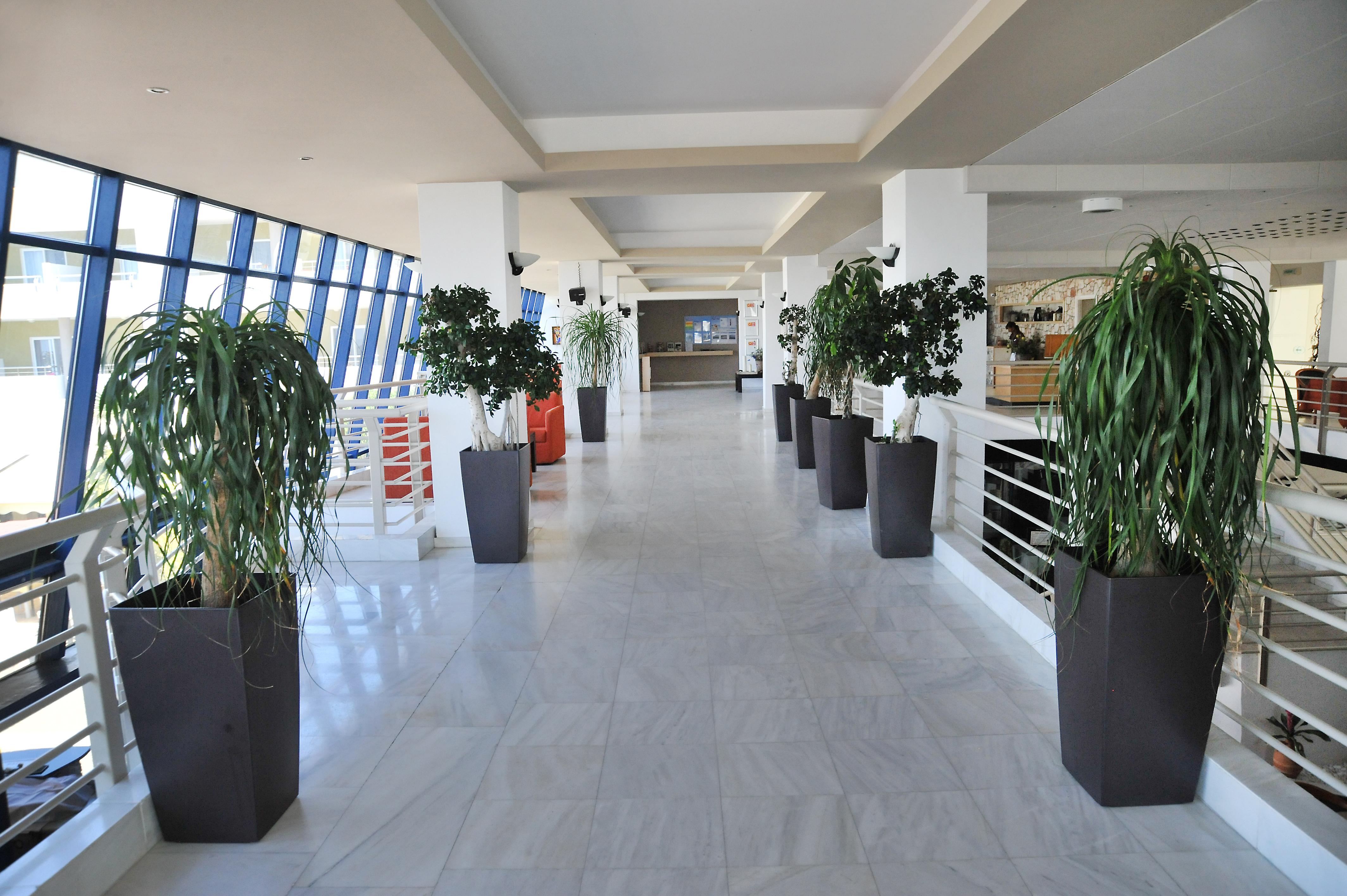 Kos Palace Tigkaki  Ngoại thất bức ảnh
